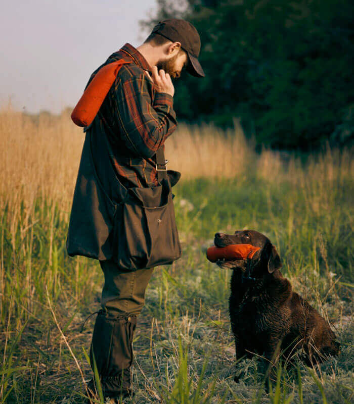 entrenamiento perros